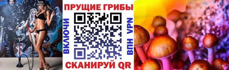 Псилоцибиновые грибы GOLDEN TEACHER  Купить где  Кологрив 